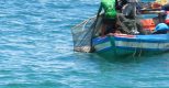 Nâng cao hiệu quả chương trình đưa lao động Việt nam đi làm thuyền viên tàu cá gần bờ của Hàn quốc