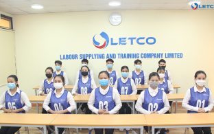 Tiềm năng lớn từ ngành Dịch vụ lưu trú Tiềm năng lớn từ ngành Dịch vụ lưu trú