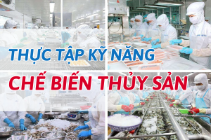 CHẾ BIẾN THỦY SẢN