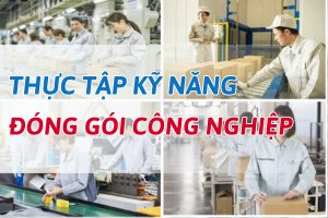 ĐÓNG GÓI CÔNG NGHIỆP