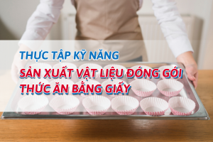 SẢN XUẤT VẬT LIỆU ĐÓNG GÓI THỨC ĂN BẰNG GIẤY