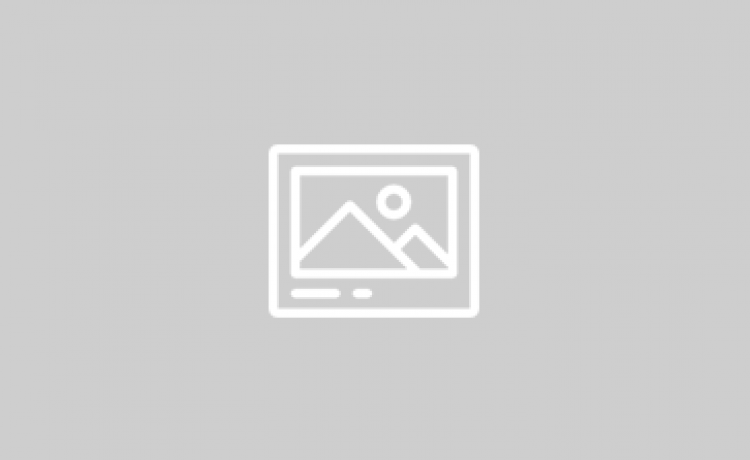 VỮNG CHÍ YÊN PHONG – MÃ ĐÁO THÀNH CÔNG